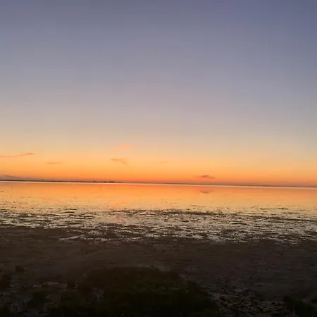 Holiday home Ruhiges Ferienhaus 100 Meter Zum Wattenmeer Mit Meerblick Hundefreundlich *