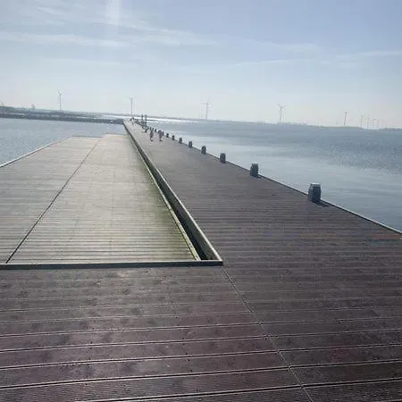 Ruhiges Ferienhaus 100 Meter Zum Wattenmeer Mit Meerblick Hundefreundlich *