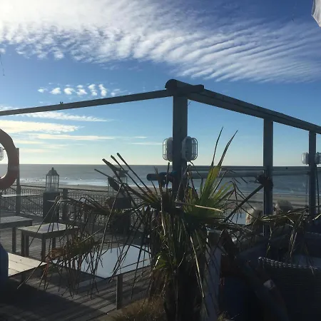 Ruhiges Ferienhaus 100 Meter Zum Wattenmeer Mit Meerblick Hundefreundlich *