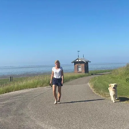Ruhiges Ferienhaus 100 Meter Zum Wattenmeer Mit Meerblick Hundefreundlich Westerland