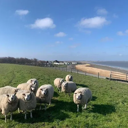 Ruhiges Ferienhaus 100 Meter Zum Wattenmeer Mit Meerblick Hundefreundlich * Westerland
