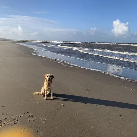 Ruhiges Ferienhaus 100 Meter Zum Wattenmeer Mit Meerblick Hundefreundlich *