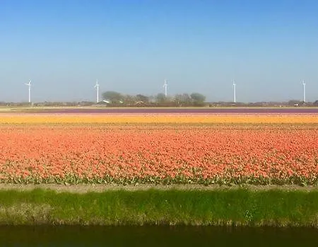 Ruhiges Ferienhaus 100 Meter Zum Wattenmeer Mit Meerblick Hundefreundlich * Westerland